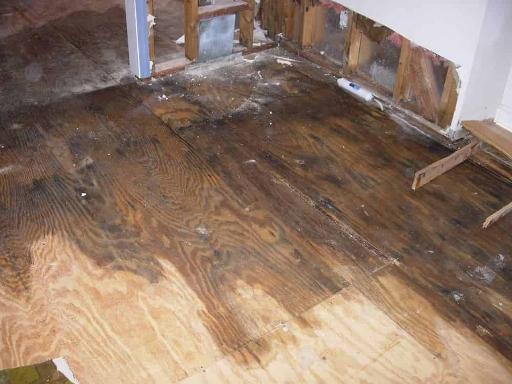 Water and Fire Restoration Services image