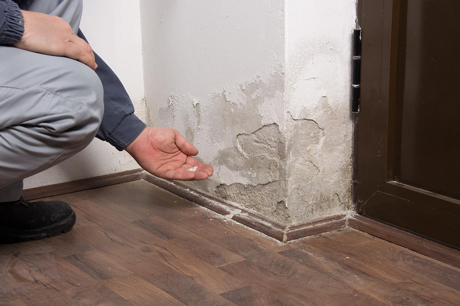 Featured post - What to Do After Water Damage: A Homeowner’s Guide to Water Restoration